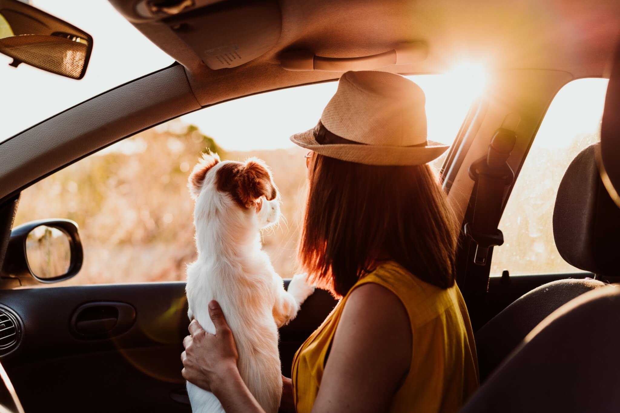 With The Car Market Up, Should I Sell My Car?