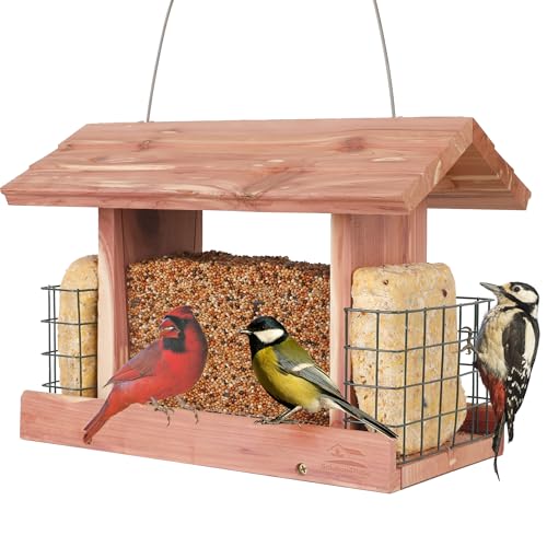 Solution4patio Us Cedar Hopper Bird Feeder for Outdoors Hanging, Handcrafted Wood Double Suet Cage &amp; Clear View Windows, Squirrel-Proof Wild Bird Feeder for Cardinals, Finches, Chickadees