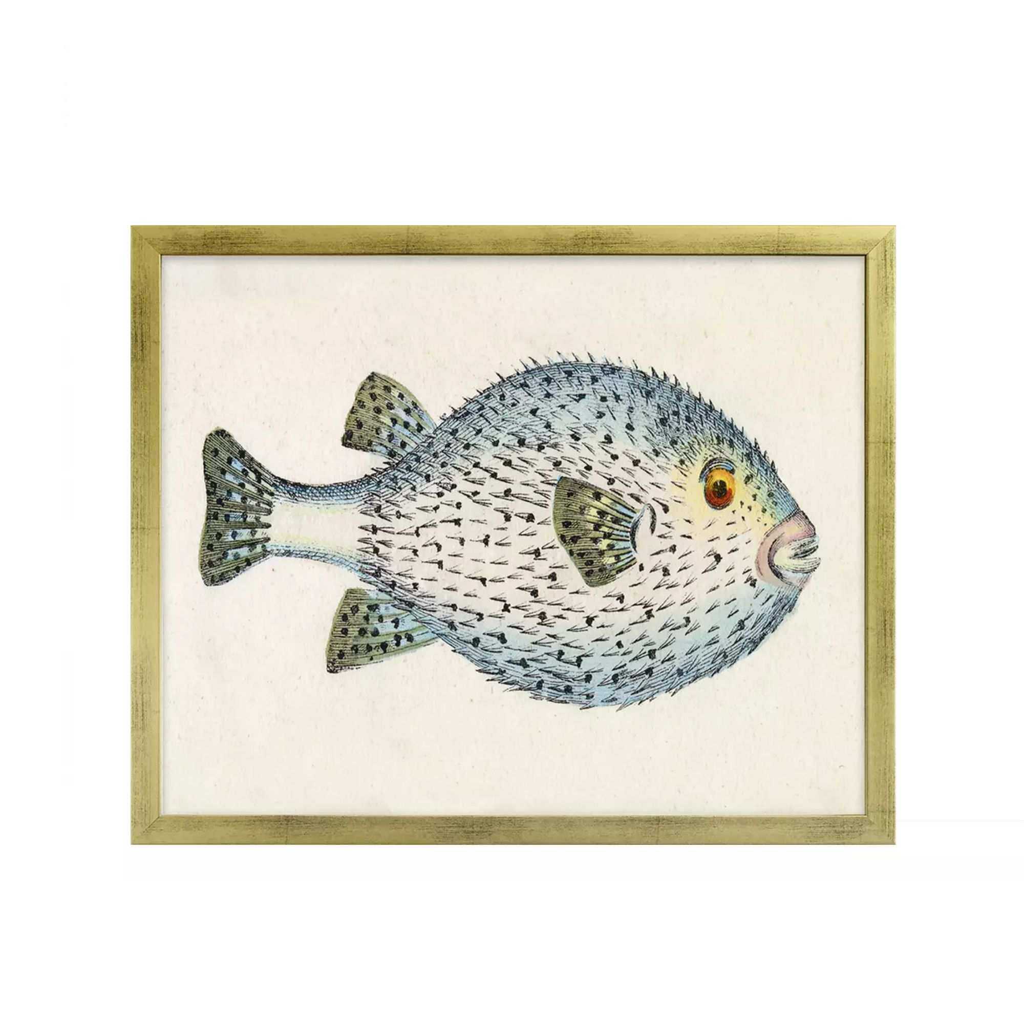 "Fish Series" in Gold Frame by Whalebone Creek