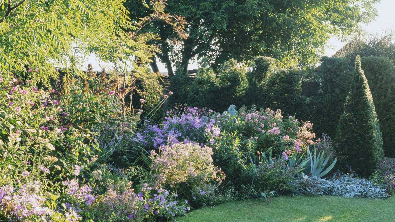 I'm Fussy About Edging But Finally Found a Natural Solution – It Gives My Garden Border a Professional Finish
