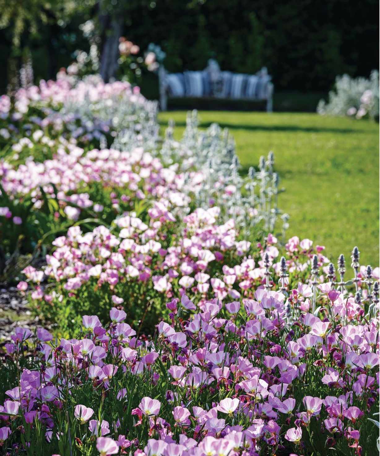 Garden border with pink flowers