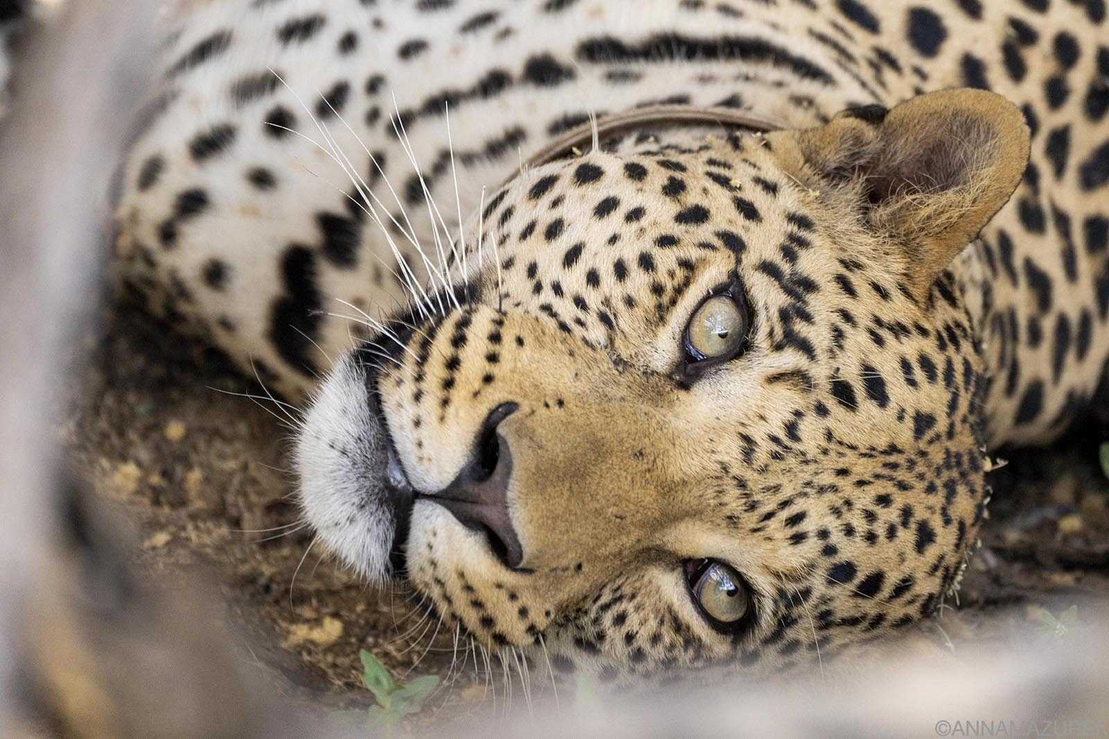 I Spent Two Months in Southern Africa—Here are my Best Photos - Travel Like Anna