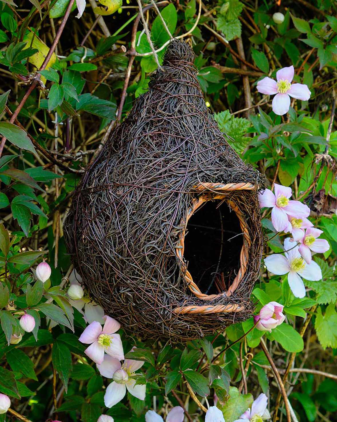 giant roost pocket bird box