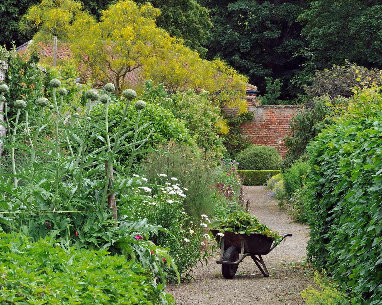 Garden edging ideas