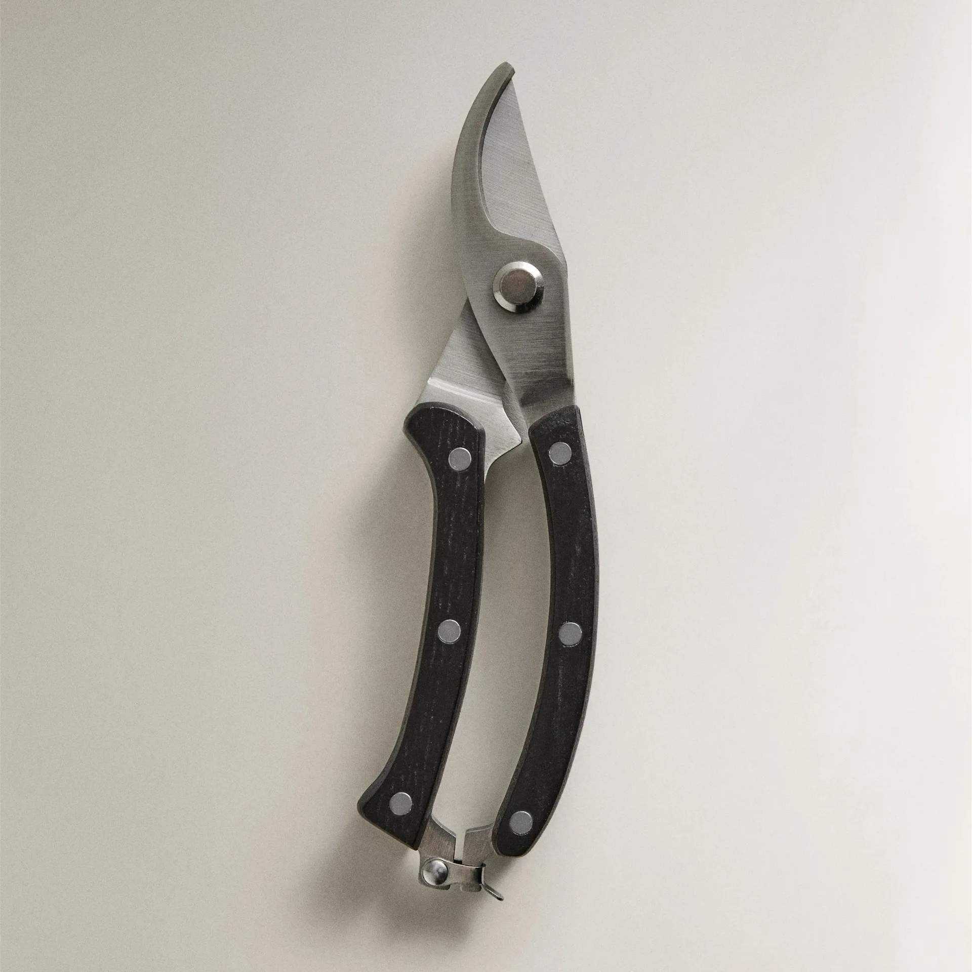 Garden Scissors