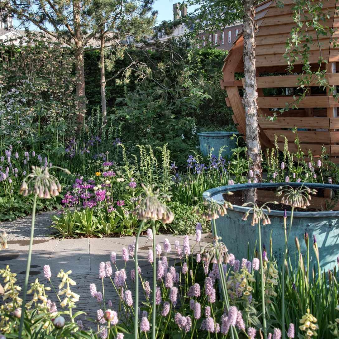 wooden garden studio pod with screening hedge, water feature and planting