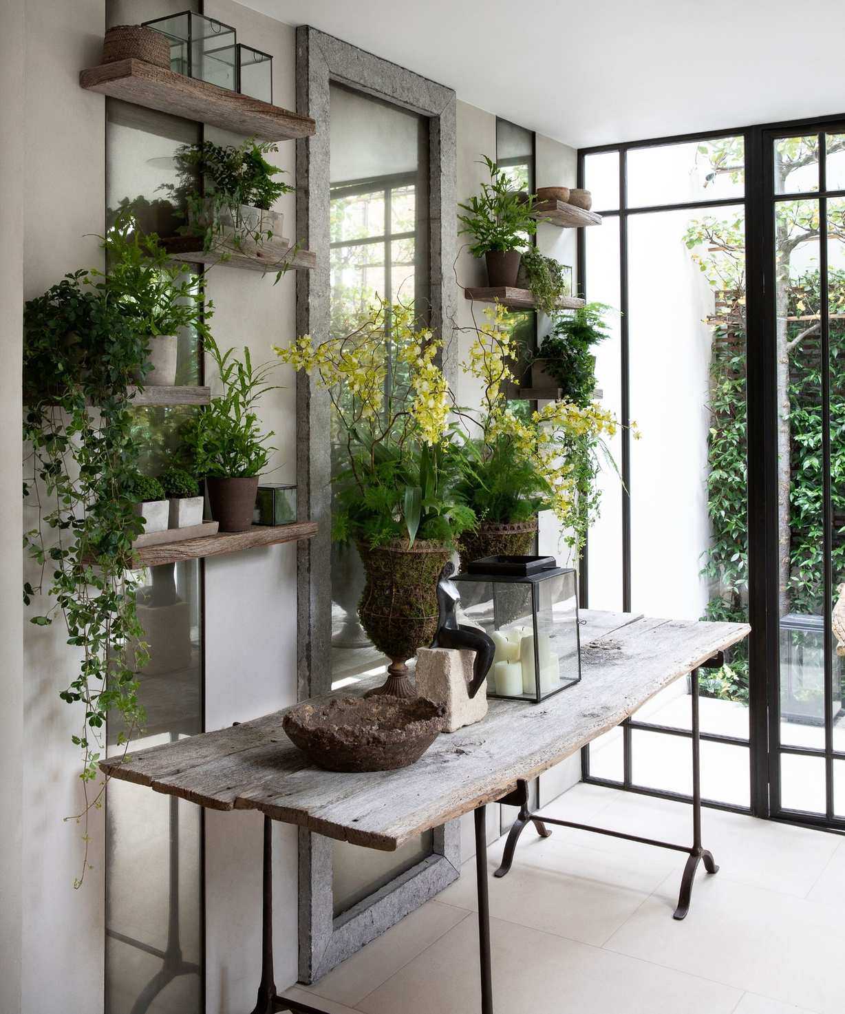 entry way filled with planta