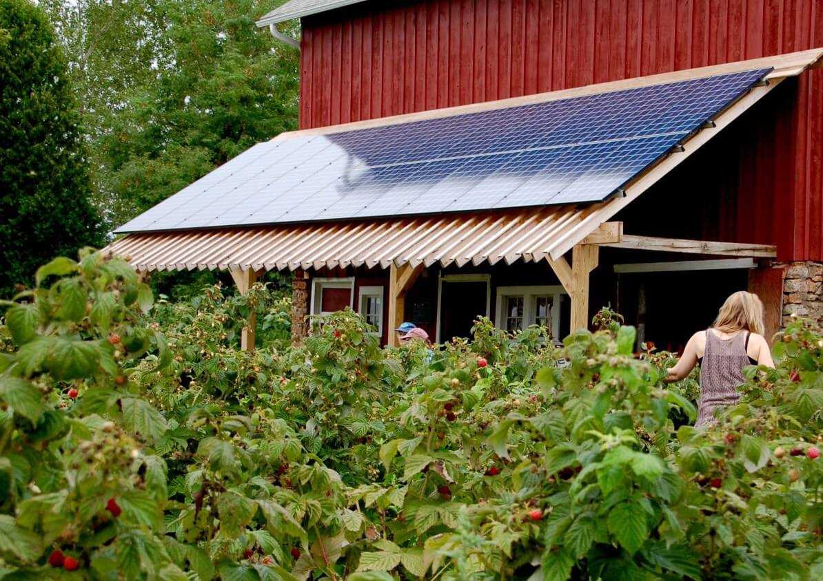 6 Ways Your Money Can Help Fight Climate Change