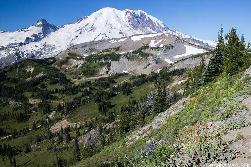 Why You Should Travel NOW - Travel Like Anna