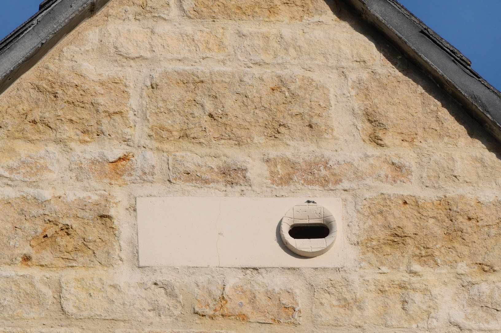 swift nesting brick in house
