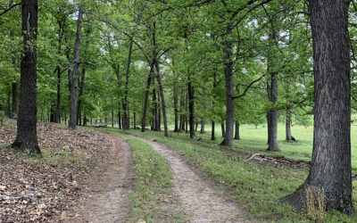 Travel Tales: South Carolina