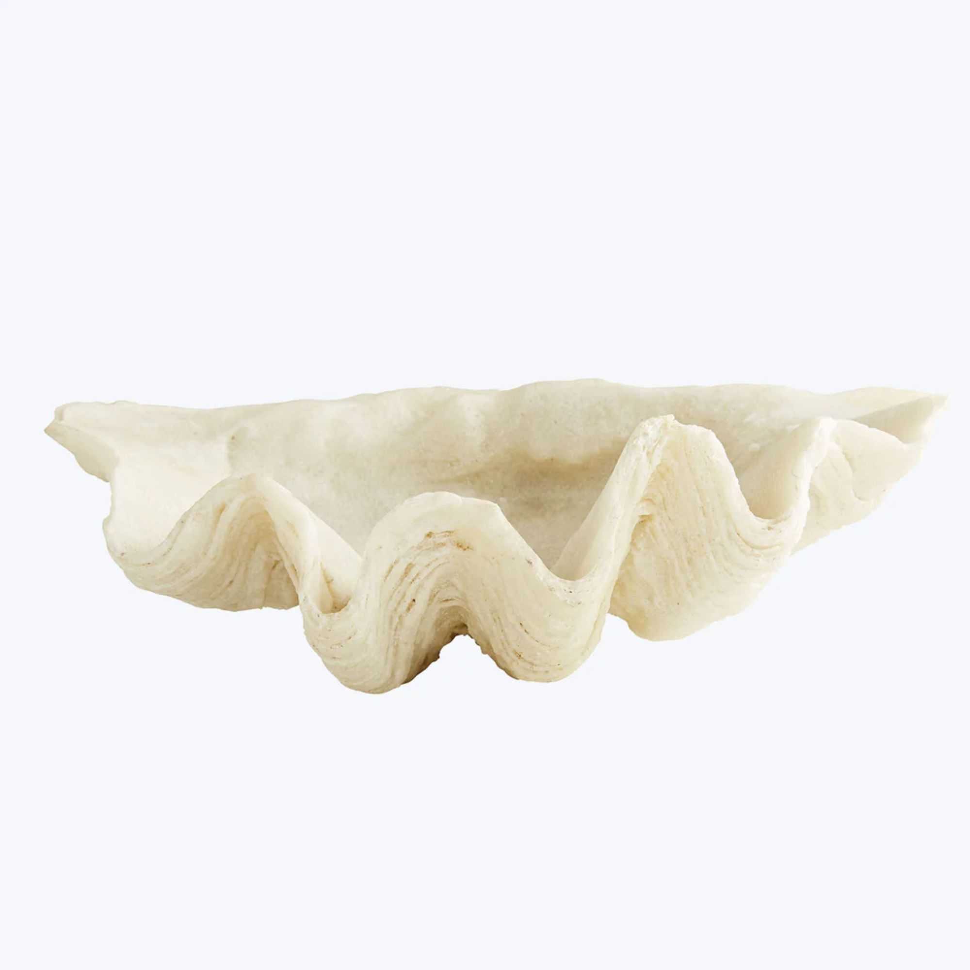 abc carpet and home shell ornament