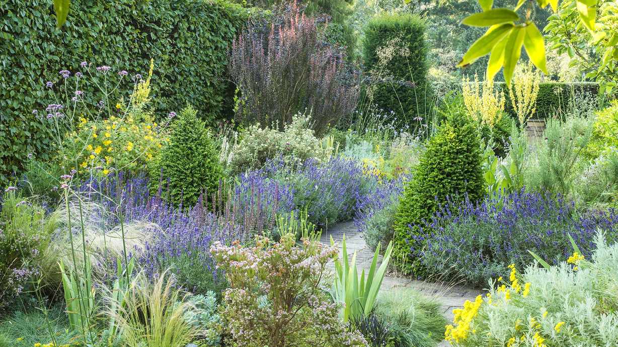 How to plan a dry garden – ideas for plants and landscaping