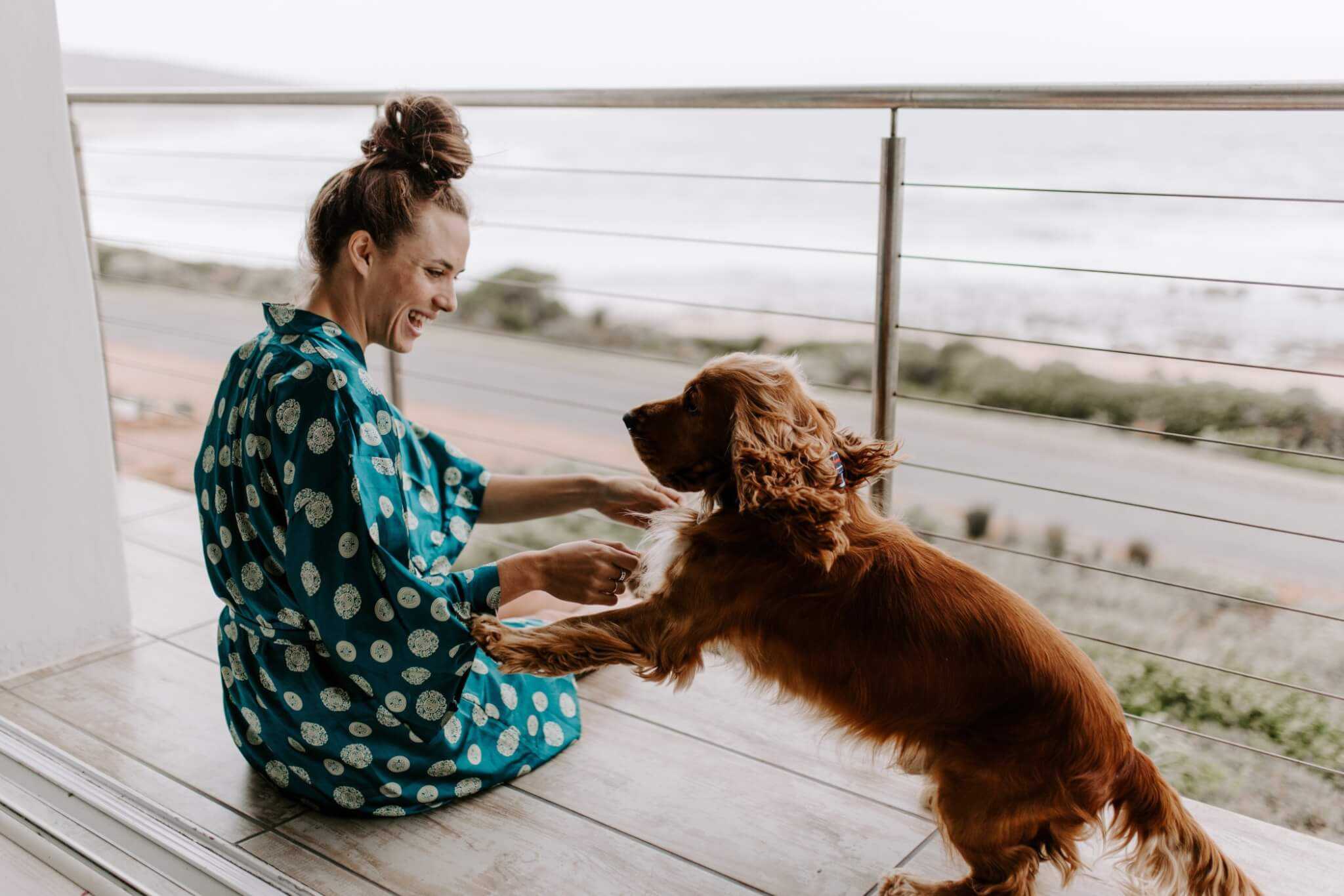 How Does Pet Insurance Work? Everything You Need To Know