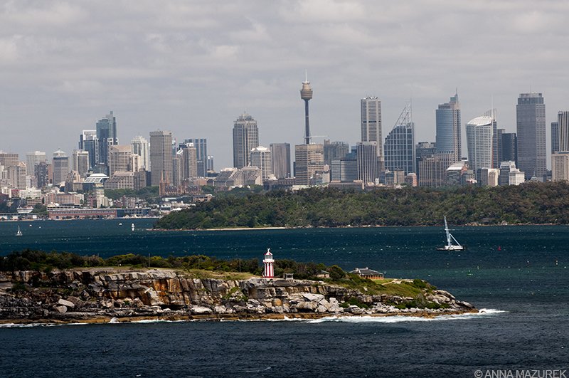 How to Win a Battle with a Giant Australian Spider - Travel Like Anna