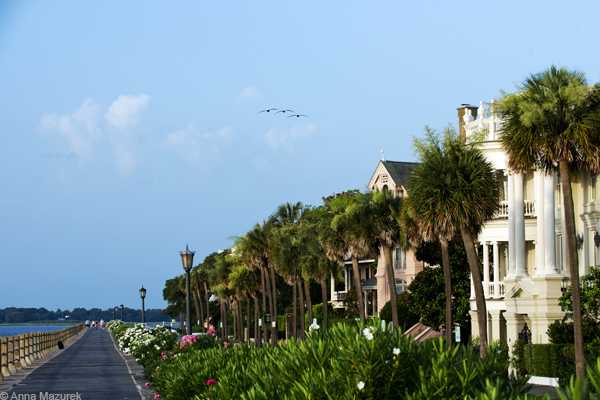 ROAD TRIP: Top 5 Things to Do in Charleston - Travel Like Anna