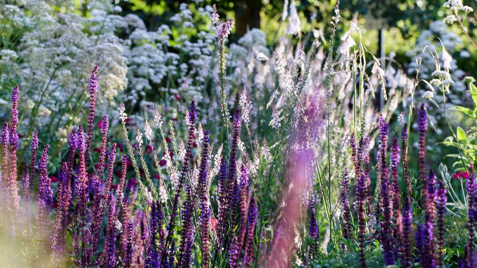 This Unusual Hack to Protect Seedlings from Heat Stress Actually Works – and It Adds Visual Interest to Your Garden