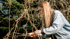 Woman in blue denim jacket and long hair placing natural jute twine around hazel wigwam