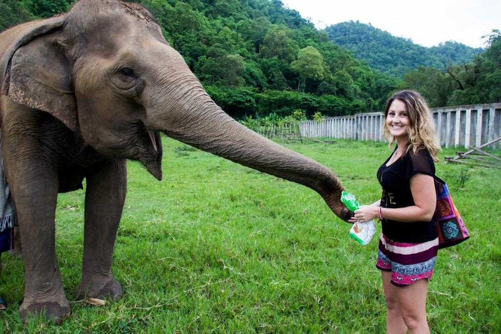 Funding a RTW Trip by Teaching English in Korea - Travel Like Anna