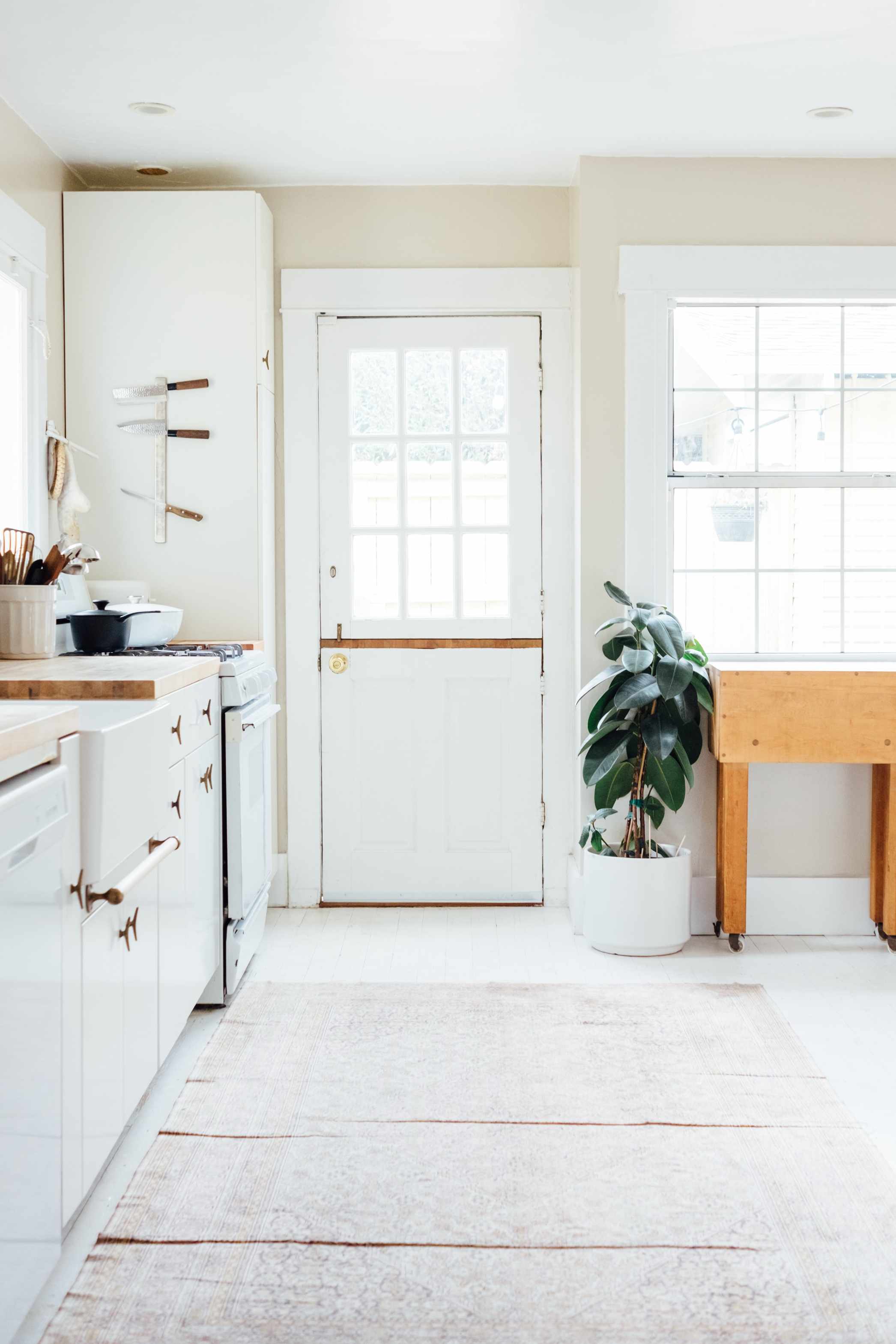Best indoor trees - rubber plants