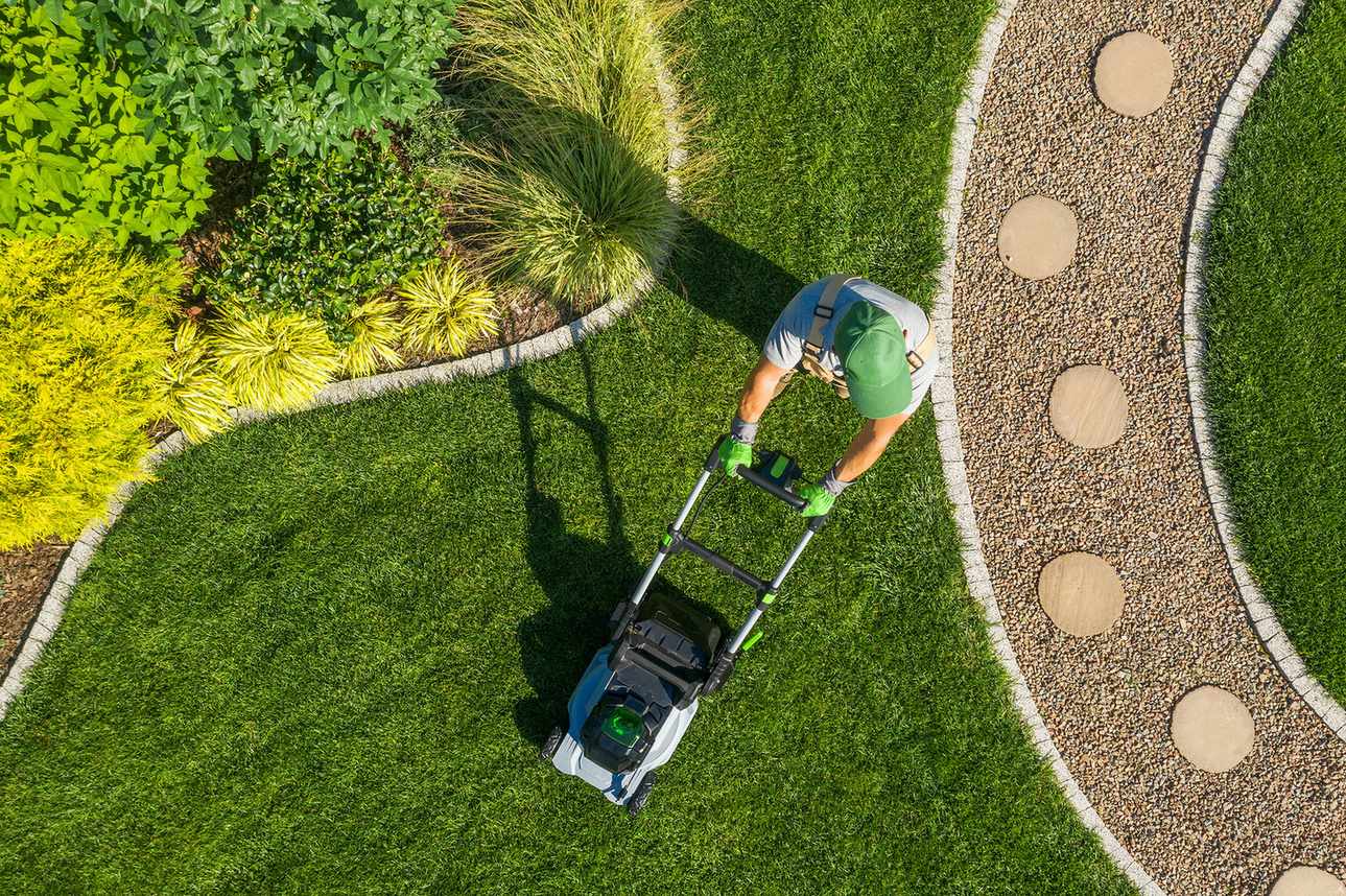 best lawn mower being pushed on front lawn by man