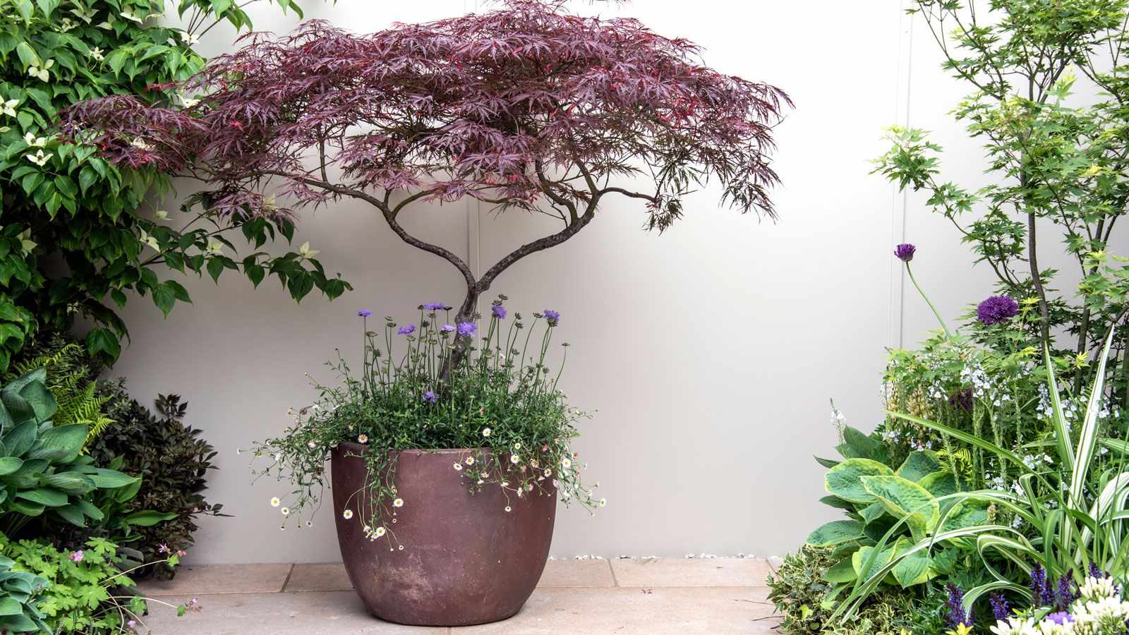 This Japanese Zen Garden Planter Idea Is the Easiest Way to Create a Calm, Peaceful Corner on Your Patio