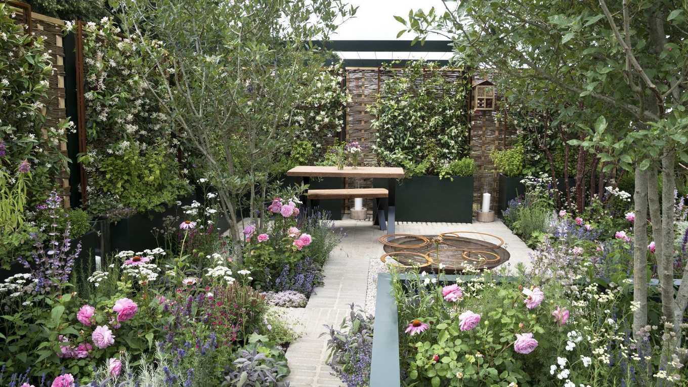 What to Plant in May – For a Garden That Practically Looks After Itself Throughout the Summer
