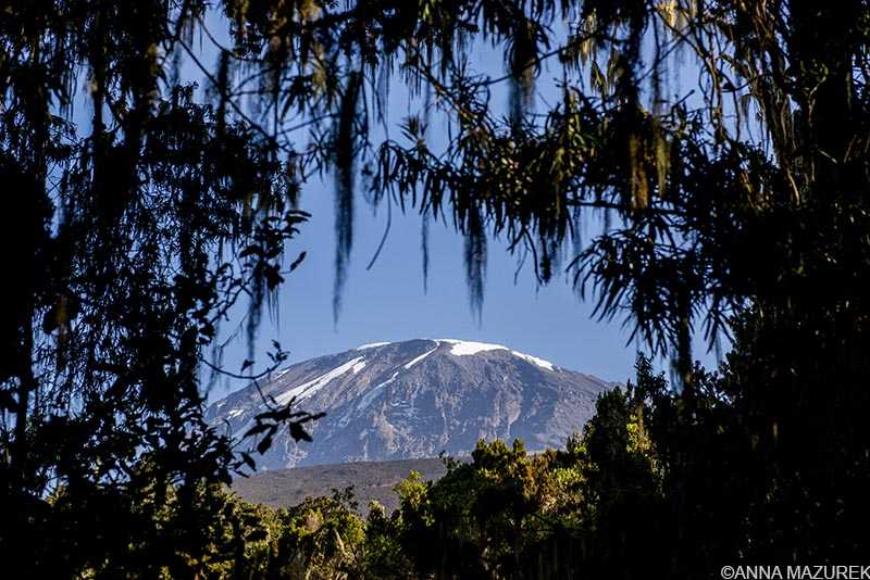 Kilimanjaro 101: Cost, Routes & Packing List - Travel Like Anna