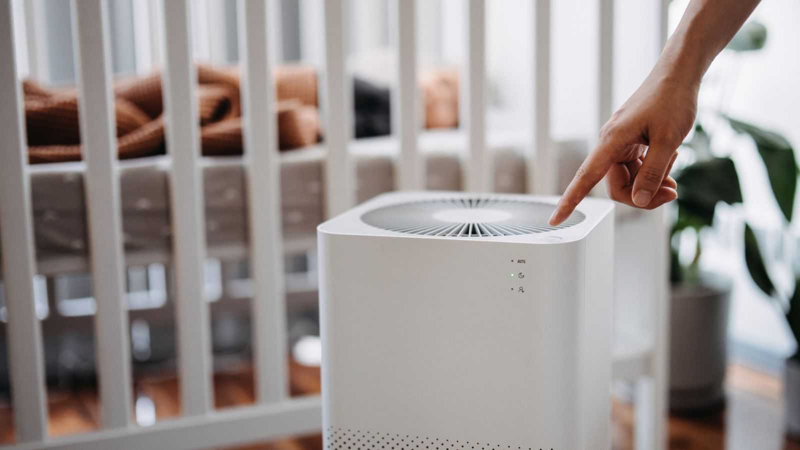The 6 best air purifiers: I'm a home tech editor with asthma and allergies, and these models excelled in our tests for cleaner air at home