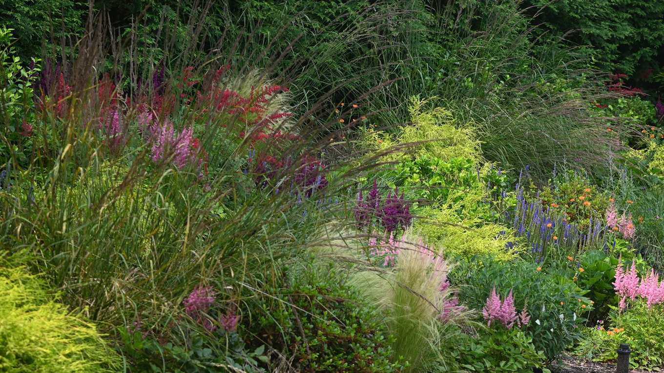 Mosaic Planting is the Curated-Meadow Trend Replacing Unreliable Wildflower Mixes, Say Garden Designers