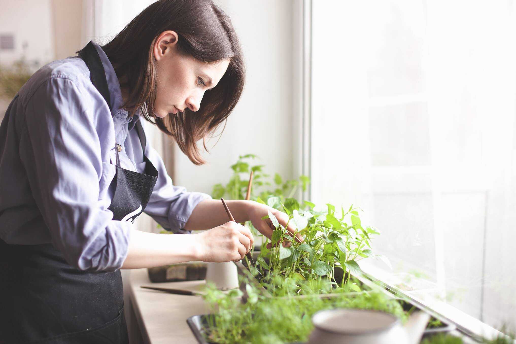 Growing Your Own Herbs Is The Secret To Saving Cash And Keeping Food Full Of Flavor