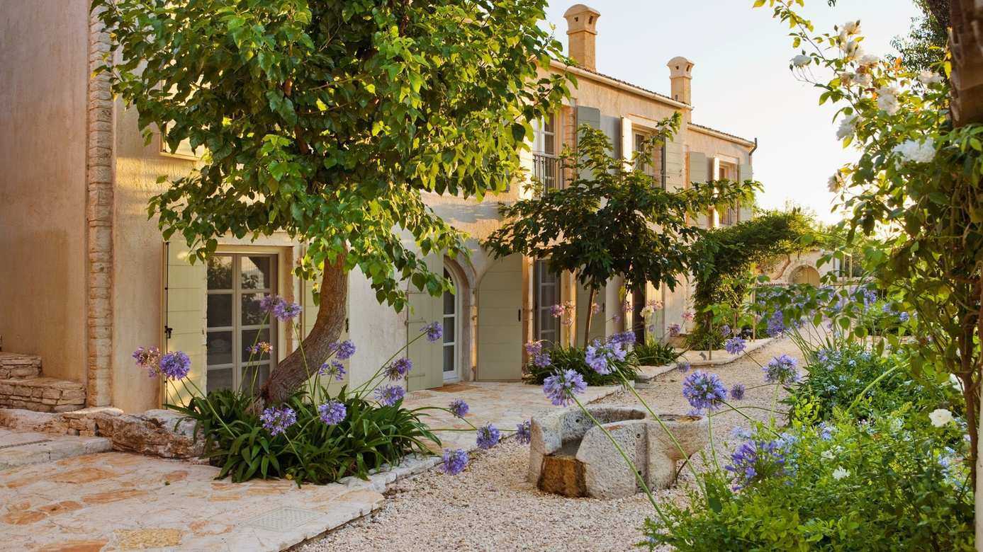 I've planted nearly every type of agapanthus, and it's safe to say these are the six very best agapanthus varieties to grow for extraordinary sculptural displays