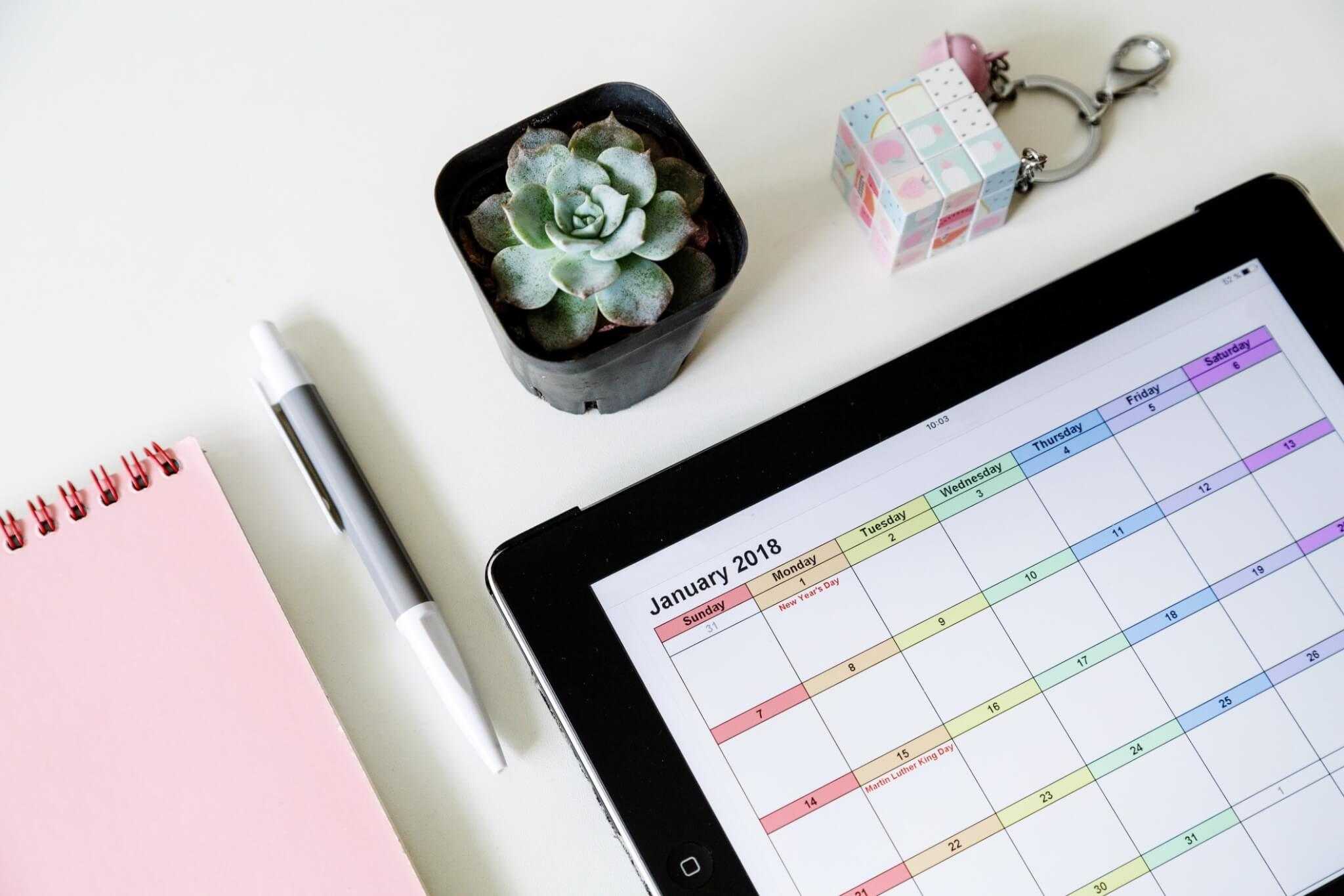 How Often Should You Check Your Credit Report?