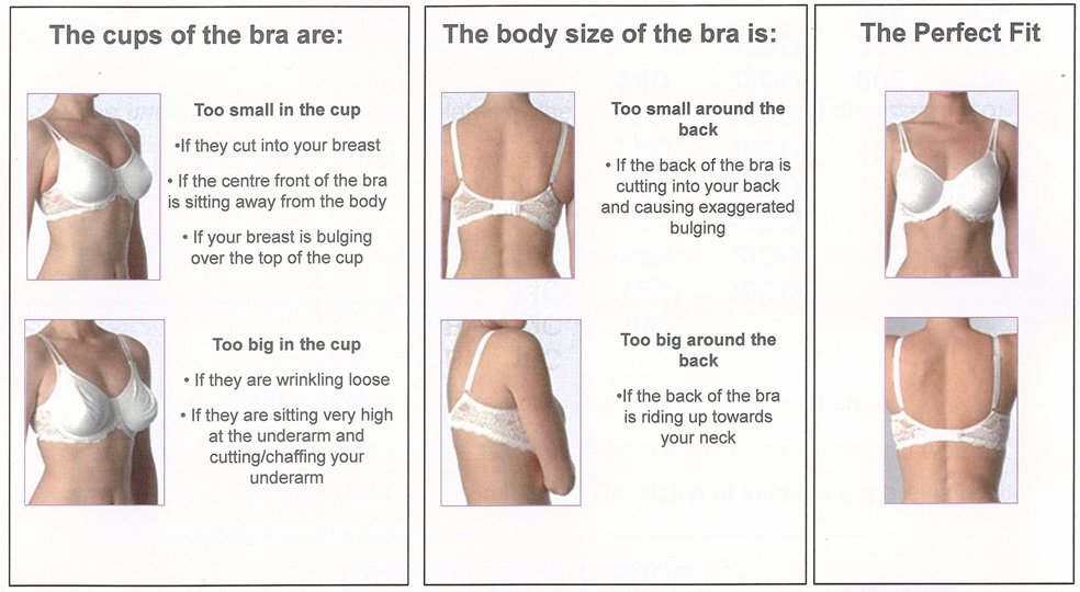 Why You Should Invest in a Bra Fitting Near You