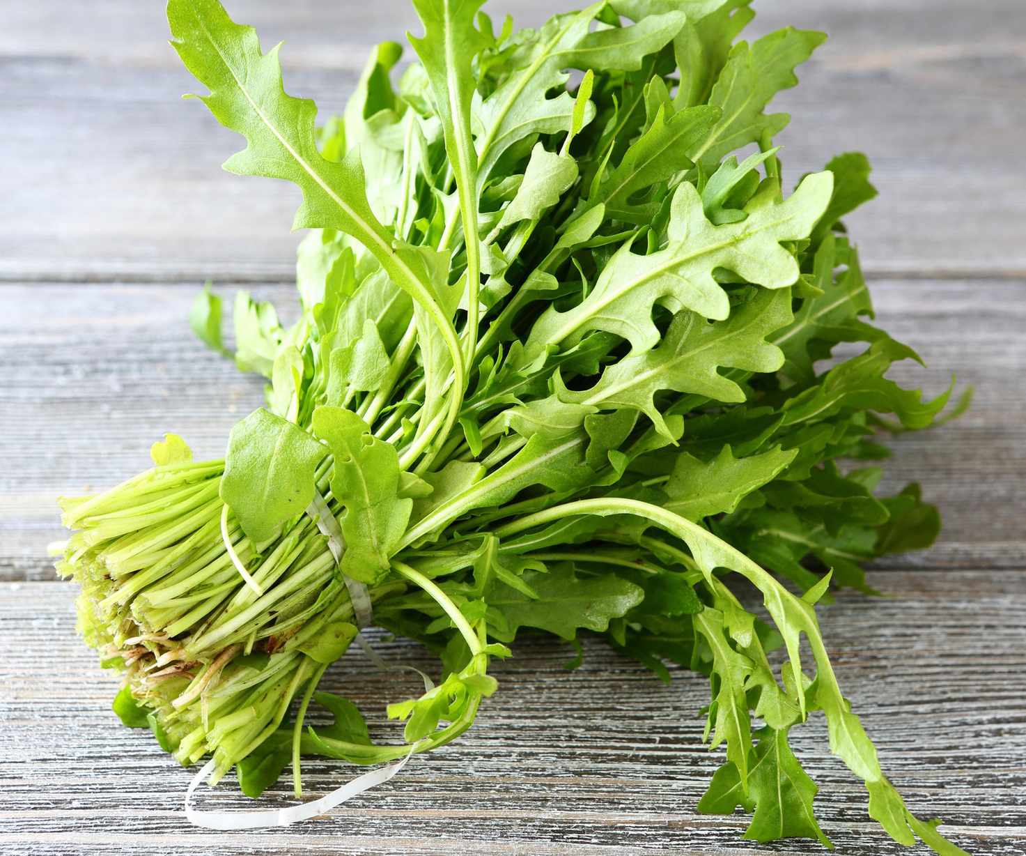 Cut arugula