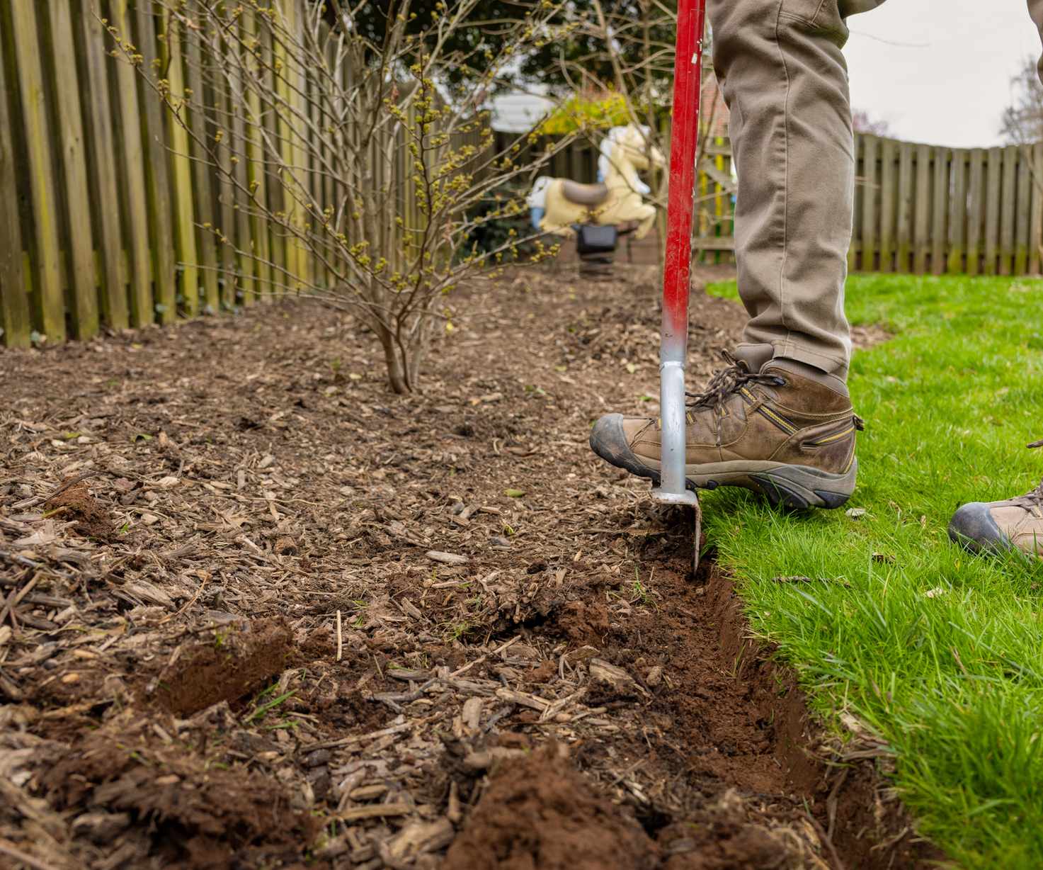 Man using an edging tool to edge mulch bed with witch hazel bush behind
