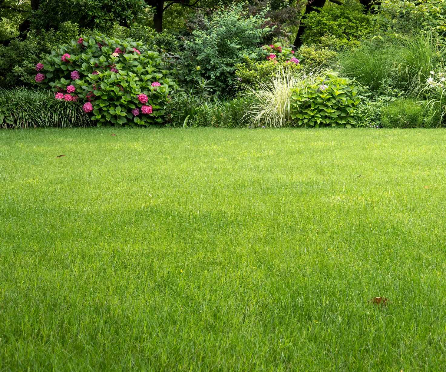 green lawn and flower borders