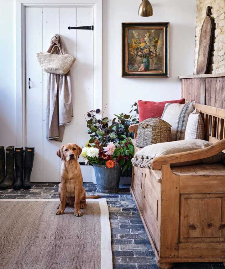 Dog and bench in country hallway