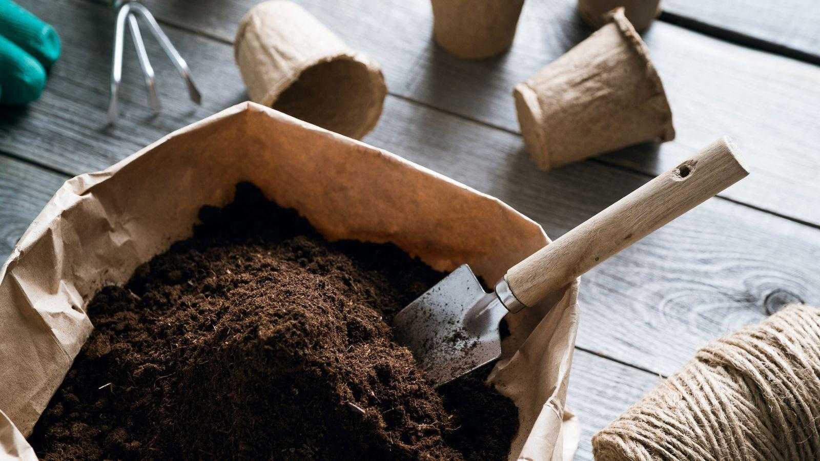 What can I use instead of peat moss? Experts explain the pitfalls and upsides of these 5 alternatives