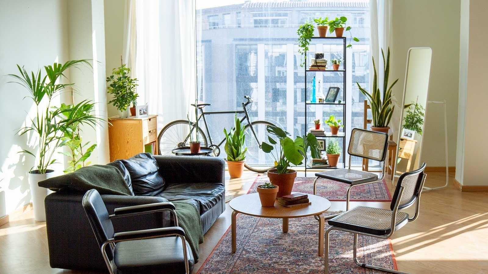Apartment gardening – top tips for growing indoors