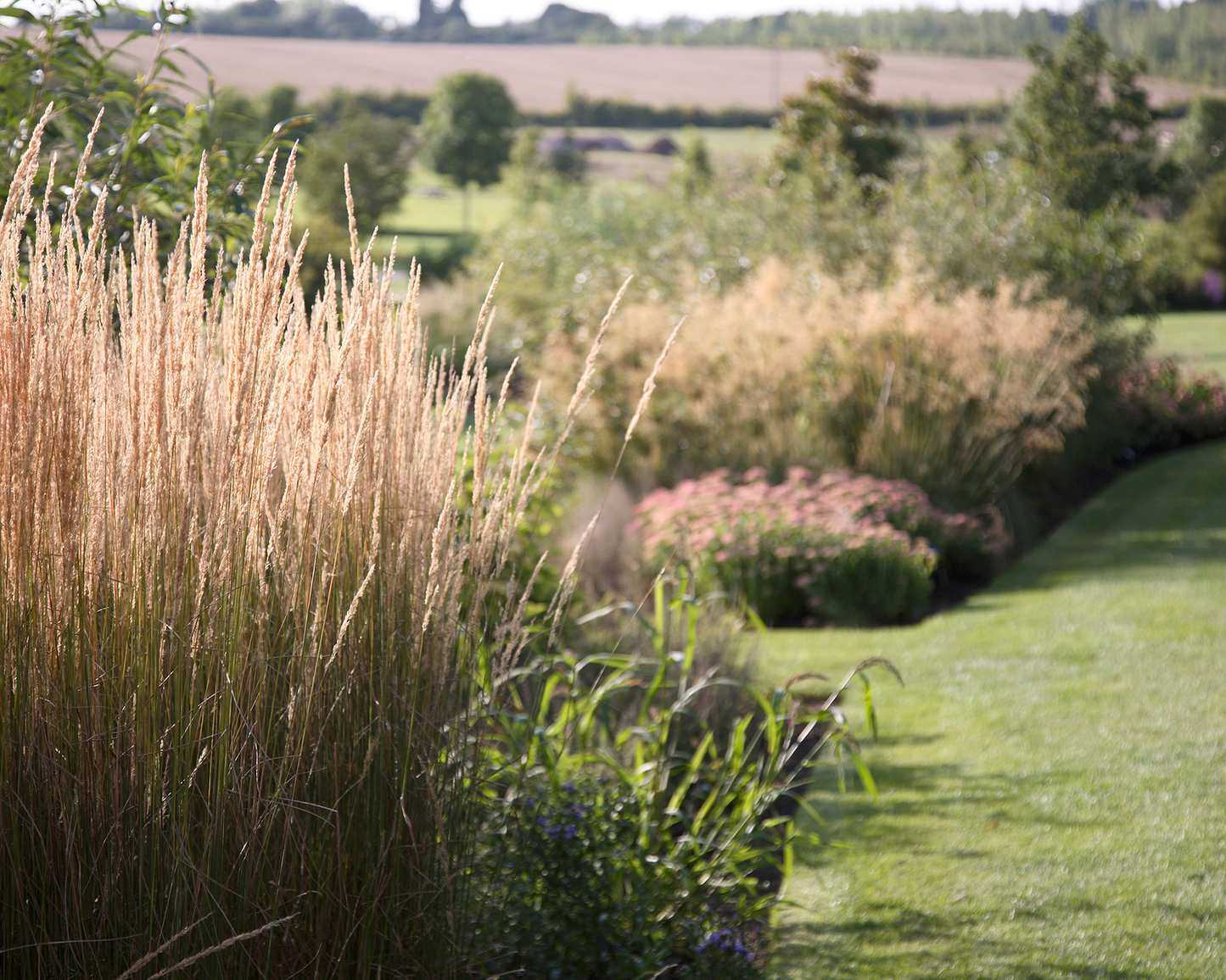 Flower bed ideas with ornamental grasses and rolling fields in the background.