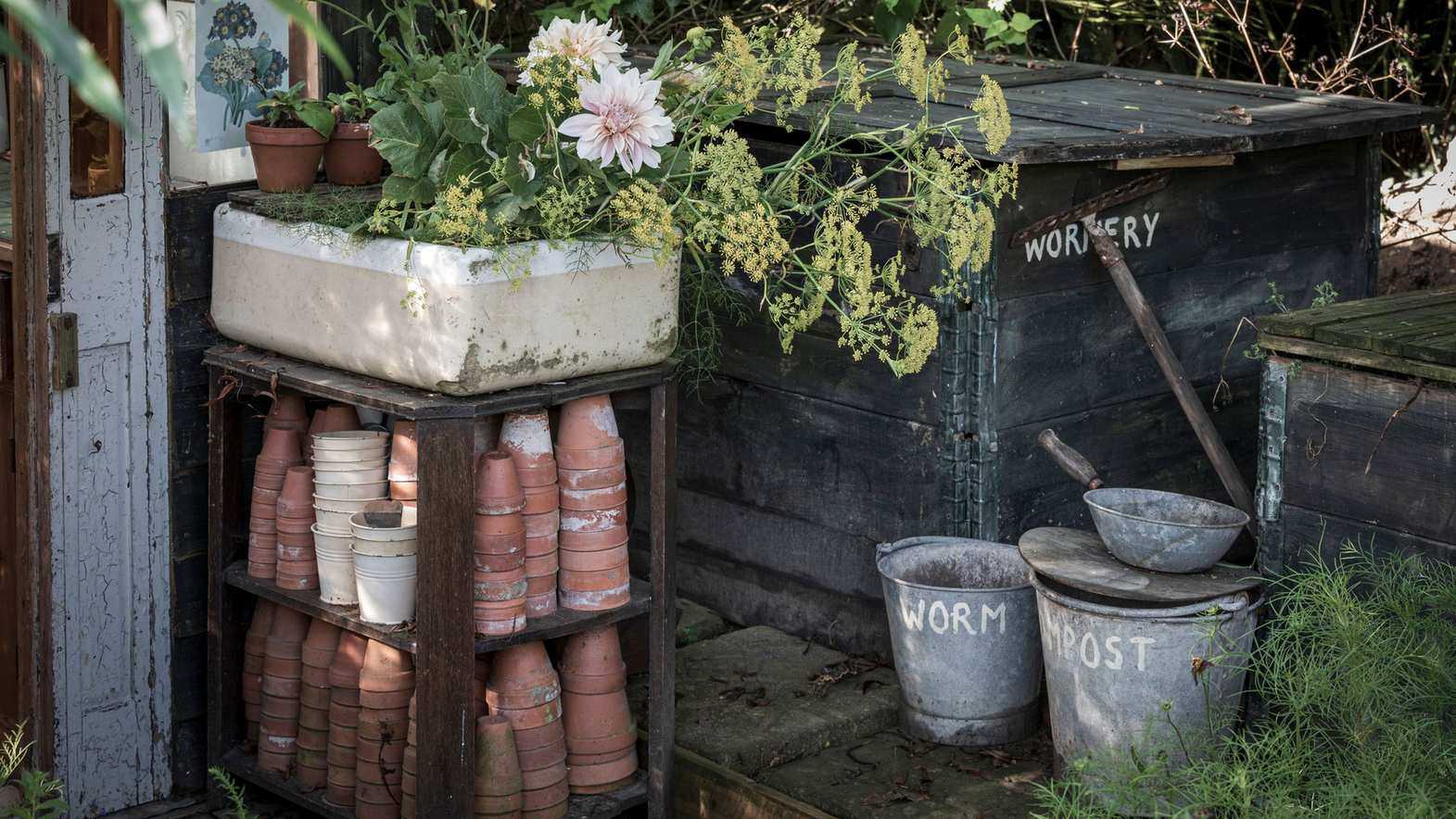 How to use a wormery for compost – a beginner's guide to worm composting