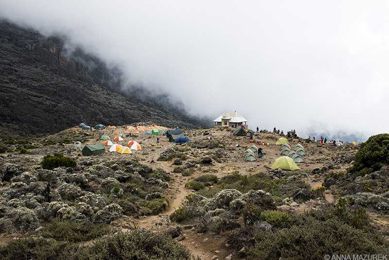 What It’s Like to Climb Kilimanjaro - Travel Like Anna