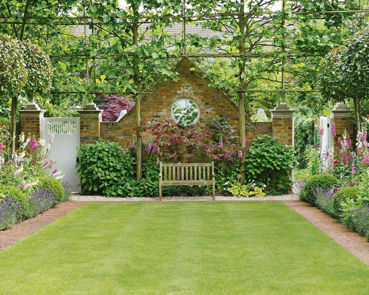 10 trees to espalier – the best ornamentally-trained trees