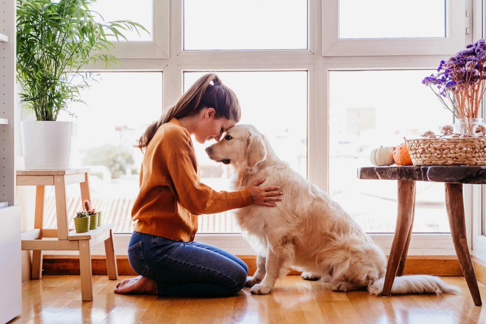 Why My Dog Is My Therapist: How Pets Can Reduce Stress & Improve Mental Health