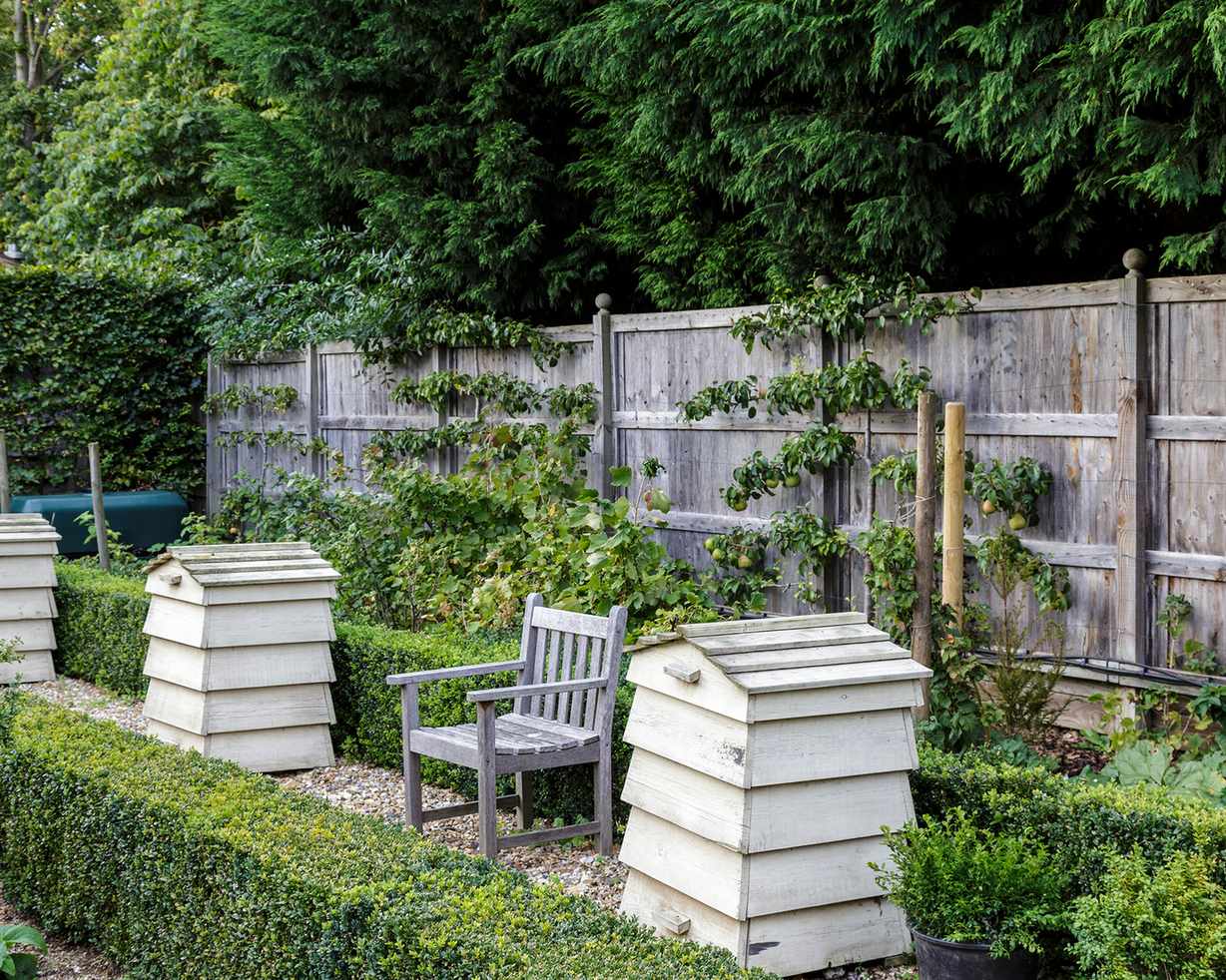 Garden fence with beehives in front