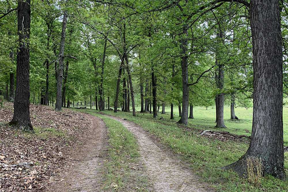 Travel Tales: South Carolina - Travel Like Anna