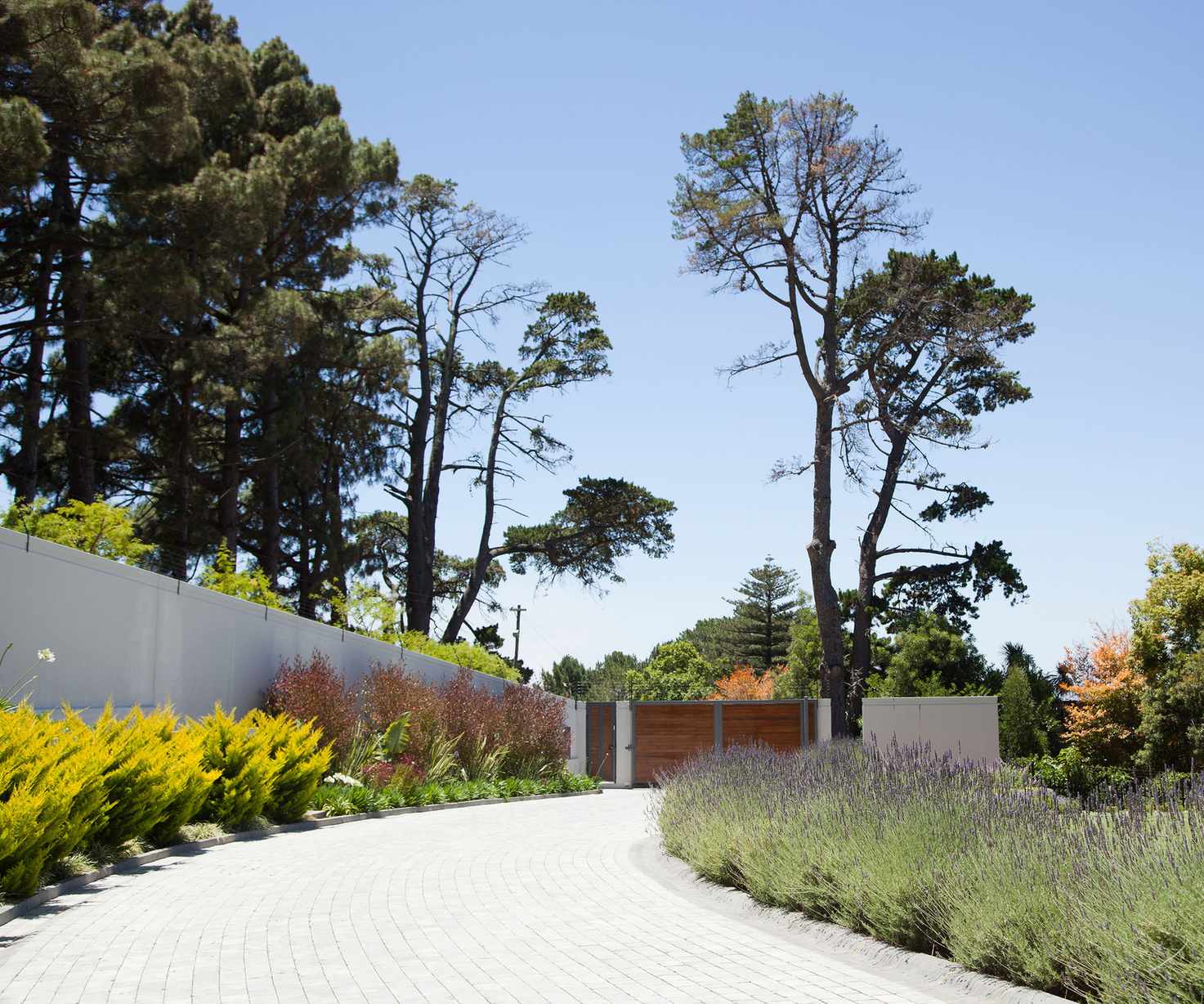 Plants along cobblestone driveway