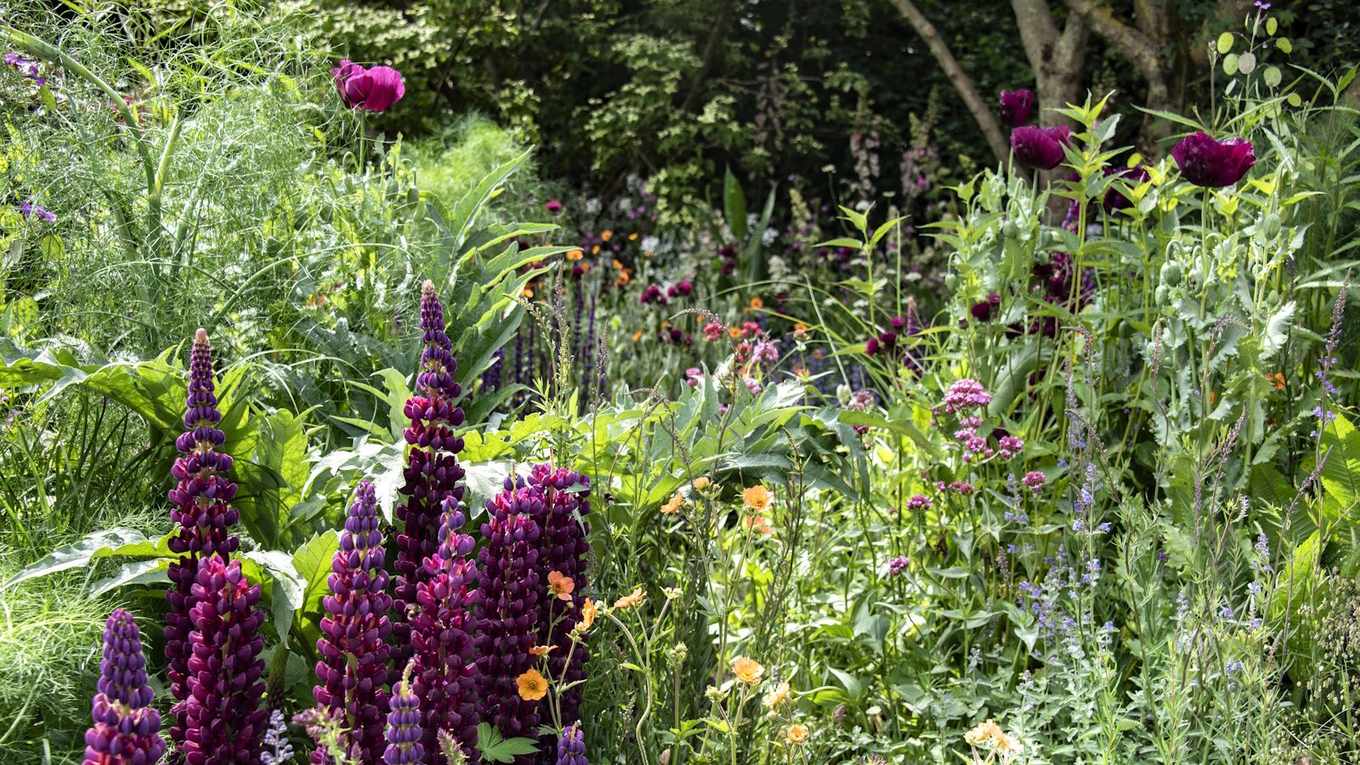 The Old Farmers’ Almanac Spring Forecast 2026 Warns of Drier Conditons