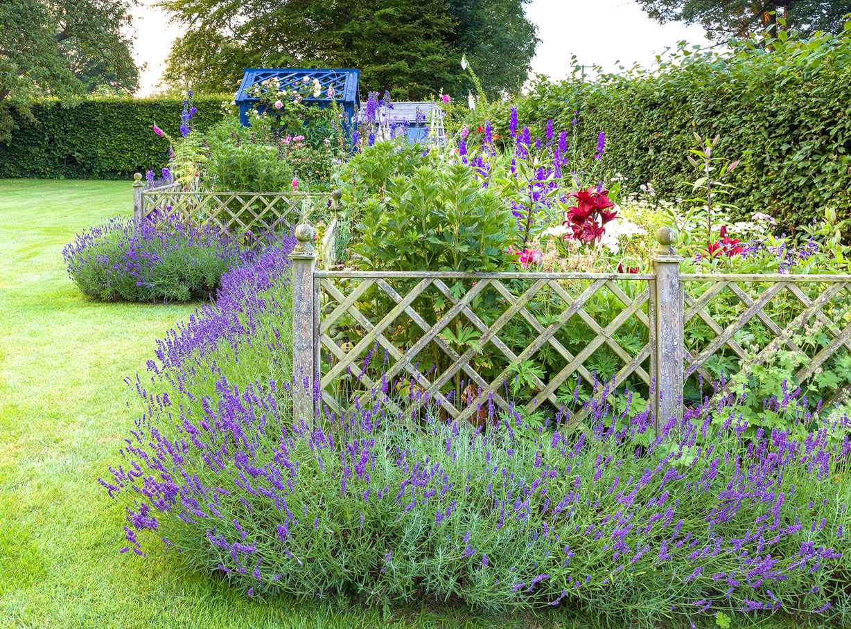 Low trellis fencing in cottage garden